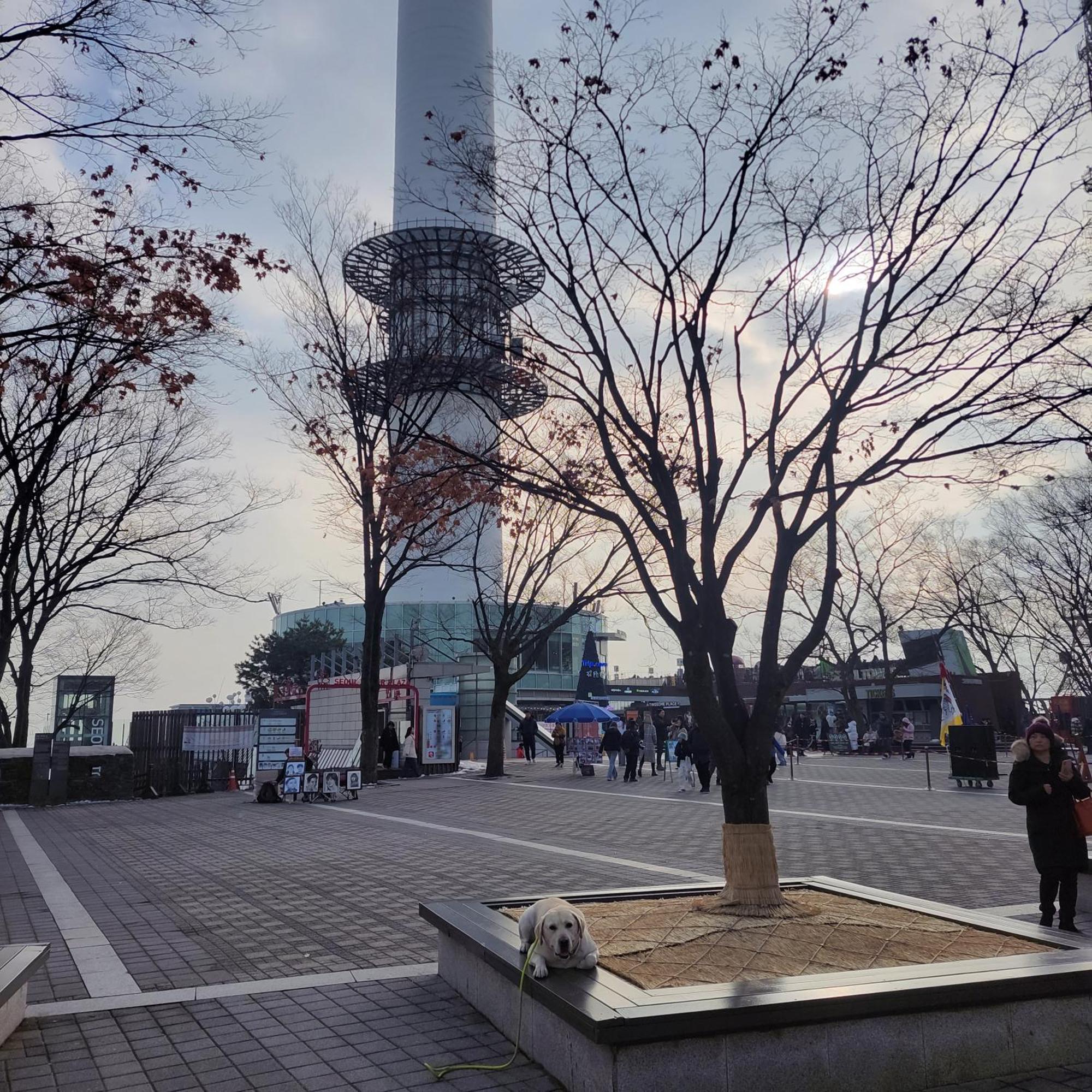 ソウル特別市 On The Main Street Of Hbc #4ヴィラ エクステリア 写真
